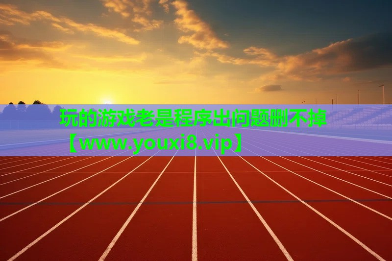 玩的游戏老是程序出问题删不掉